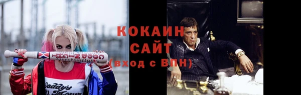 шишки Краснослободск
