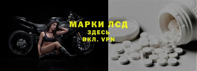 крисы Кодинск